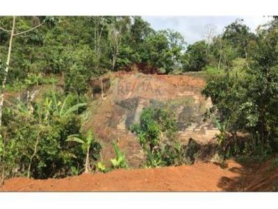 Terreno para Venda, em Matias Barbosa, bairro Ponte do Arco