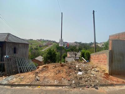 Lote para Venda, em Telmaco Borba, bairro So Joo