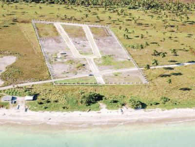 Lote para Venda, em Porto de Pedras, bairro Praia do Patacho