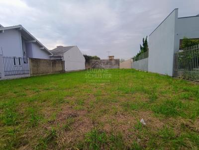 Terreno para Venda, em Porto, bairro Centro