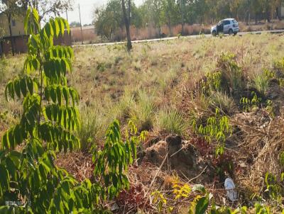 Lote para Venda, em Porto Nacional, bairro luzimangues