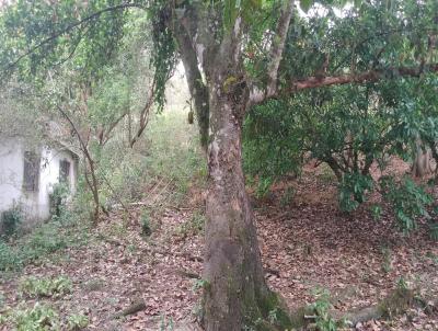 Casa Rural para Venda, em , bairro Citrolndia, 4 dormitrios, 1 banheiro