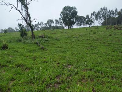 Stio para Venda, em Cssia dos Coqueiros, bairro RURAL