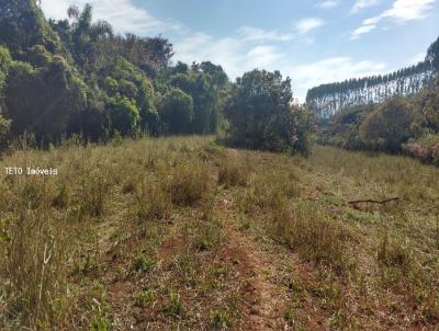 rea Rural para Venda, em Coronel Xavier Chaves, bairro Riacho