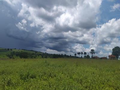 Stio para Venda, em Cssia dos Coqueiros, bairro RURAL