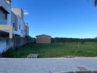 Terreno para Venda, em Osrio, bairro Caiu do Cu