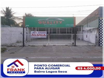 Ponto Comercial para Locao, em , bairro Lagoa Seca