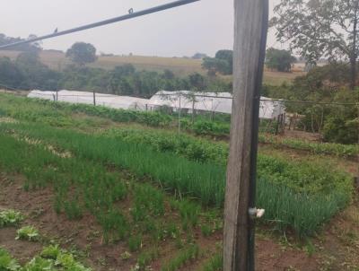 Stio para Venda, em Cajuru, bairro RURAL