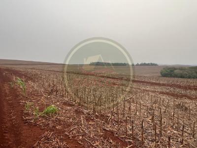 Fazenda para Venda, em Maring, bairro .