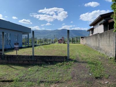 Terreno para Venda, em Nova Hartz, bairro Campo Vicente-Nova Hartz