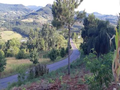 Chcara para Venda, em Gramado, bairro Linha Nova