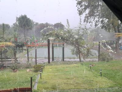 Stio para Venda, em Santo Antnio da Alegria, bairro RURAL