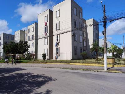 Apartamento para Venda, em Pelotas, bairro Centro, 2 dormitrios, 1 banheiro