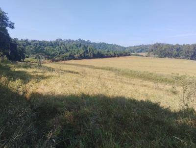 Stio para Venda, em Arceburgo, bairro RURAL