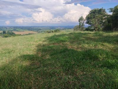 Stio para Venda, em Mococa, bairro SO BENEDITO DAS AREIAS