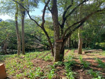 Terreno Rural para Venda, em Cotia, bairro Ressaca