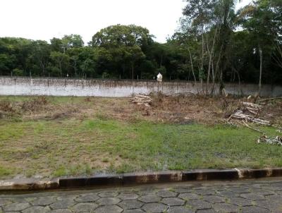 Terreno para Venda, em Perube, bairro Centro