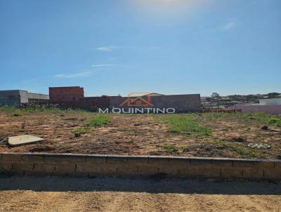 imagem-miniatura