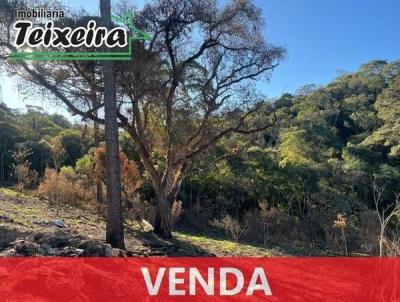 Terreno para Venda, em Jaguariava, bairro Vila Andr