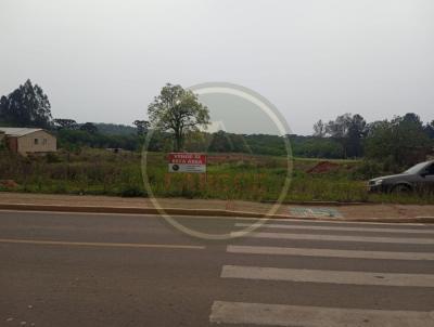 Terreno para Venda, em Ipiranga, bairro .