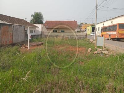 Terreno para Venda, em Ipiranga, bairro .