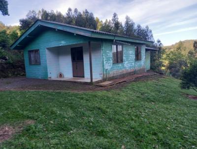 Stio / Chcara para Venda, em Santa Maria do Herval, bairro Padre Eterno Ilges, 3 dormitrios, 1 banheiro, 1 vaga