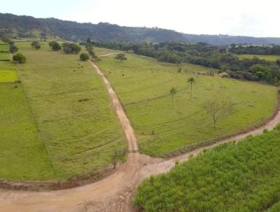 Stio para Venda, em Santo Antnio da Alegria, bairro RURAL