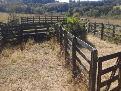 Stio para Venda, em Itamogi, bairro RURAL