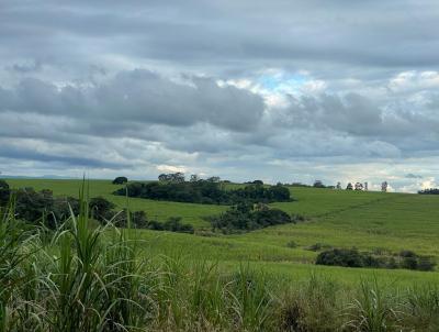 Stio para Venda, em Mococa, bairro RURAL