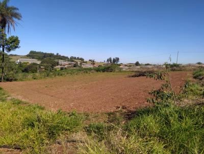 Stio para Venda, em Cajuru, bairro RURAL