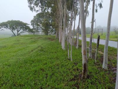 Stio para Venda, em Cssia dos Coqueiros, bairro RURAL