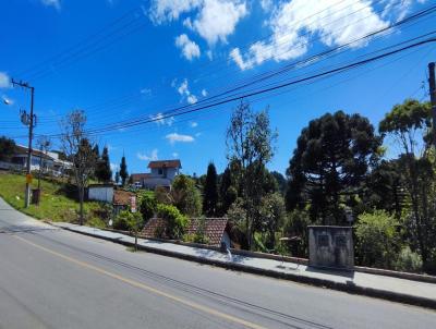 Terreno para Venda, em So Bento do Sul, bairro Progresso, 3 dormitrios, 2 banheiros