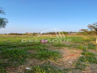 Terreno para Venda, em Regente Feij, bairro Santa Rita 2