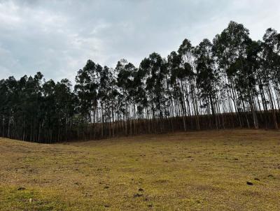 Stio para Venda, em So Gonalo do Sapuca, bairro AGUA COMPRIDA