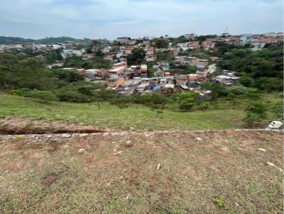 Terreno em Condomnio para Venda, em Santana de Parnaba, bairro Recanto Silvestre (Fazendinha)