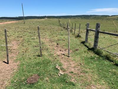 rea Rural para Venda, em Pinheiro Machado, bairro Torrinhas