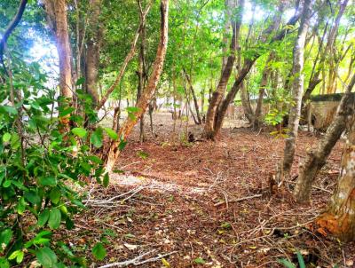 Terreno para Venda, em , bairro Praia da Pipa