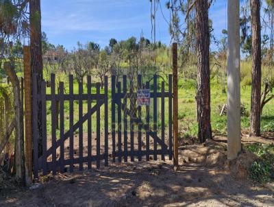 rea para Venda, em Suzano, bairro VILA SOL NASCENTE