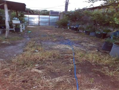 Terreno para Venda, em Porto Alegre, bairro Camaqu