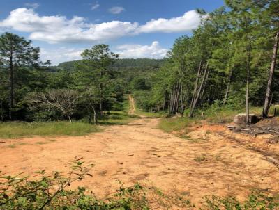 Terreno para Venda, em Viamo, bairro Parque Florestal