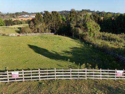 Terreno para Venda, em Contenda, bairro Localidade de Serrinha