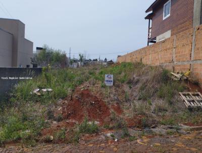 Terreno Residencial para Venda, em Vitorino, bairro .