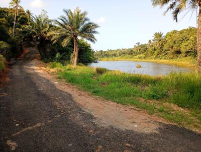 Lote para Venda, em Camaari, bairro Barra do Jacupe (Monte Gordo)