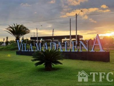 Terreno para Venda, em Araatuba, bairro Aeroporto