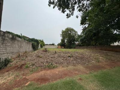 Terreno Comercial para Venda, em Marechal Cndido Rondon, bairro centro