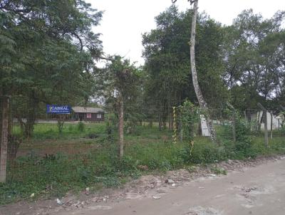 Terreno para Venda, em Paranagu, bairro Ilha dos Valadares