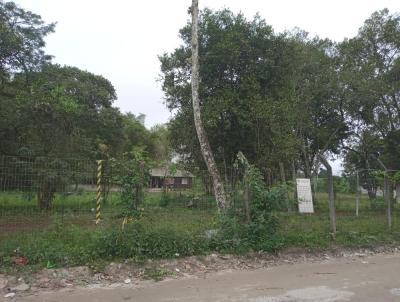 Terreno para Venda, em Paranagu, bairro Ilha dos Valadares