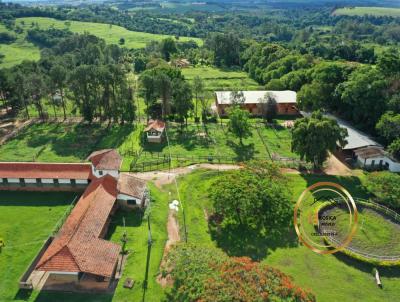 Haras para Venda, em Porto Feliz, bairro CHAPADO