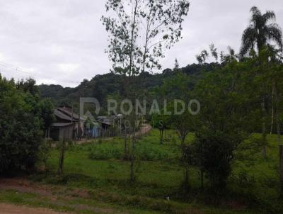 Terreno para Venda, em Nova Hartz, bairro -