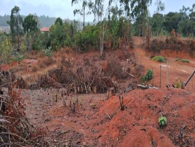 Chcara para Venda, em Juiz de Fora, bairro Torrees